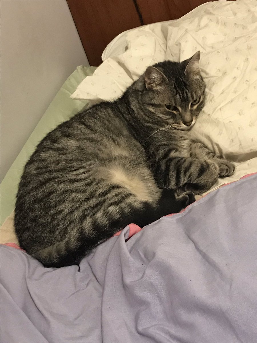 phoebeannecat's tweet photo. https://t.co/YPwwGQnX5Z