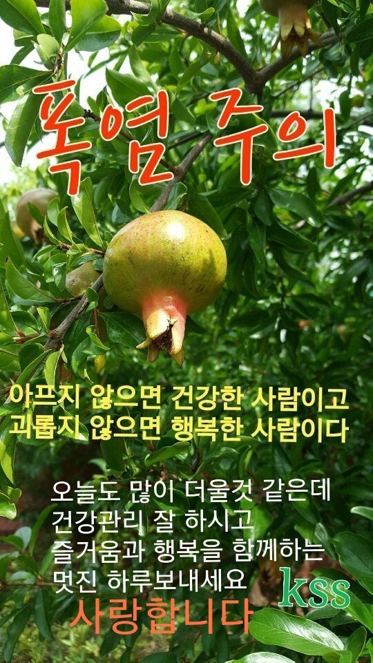 ParentsKatalk's tweet photo. 폭염 주의
아프지 않으면 건강한 사람이고
괴롭지 않으면 행복한 사람이다 https://t.co/Dgm3EsxJpH
