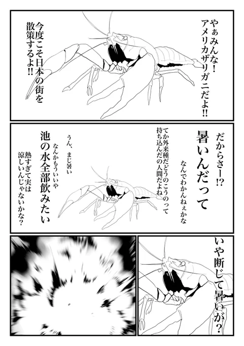 もっと海老れ!アメリカザリガニくん!!?? 