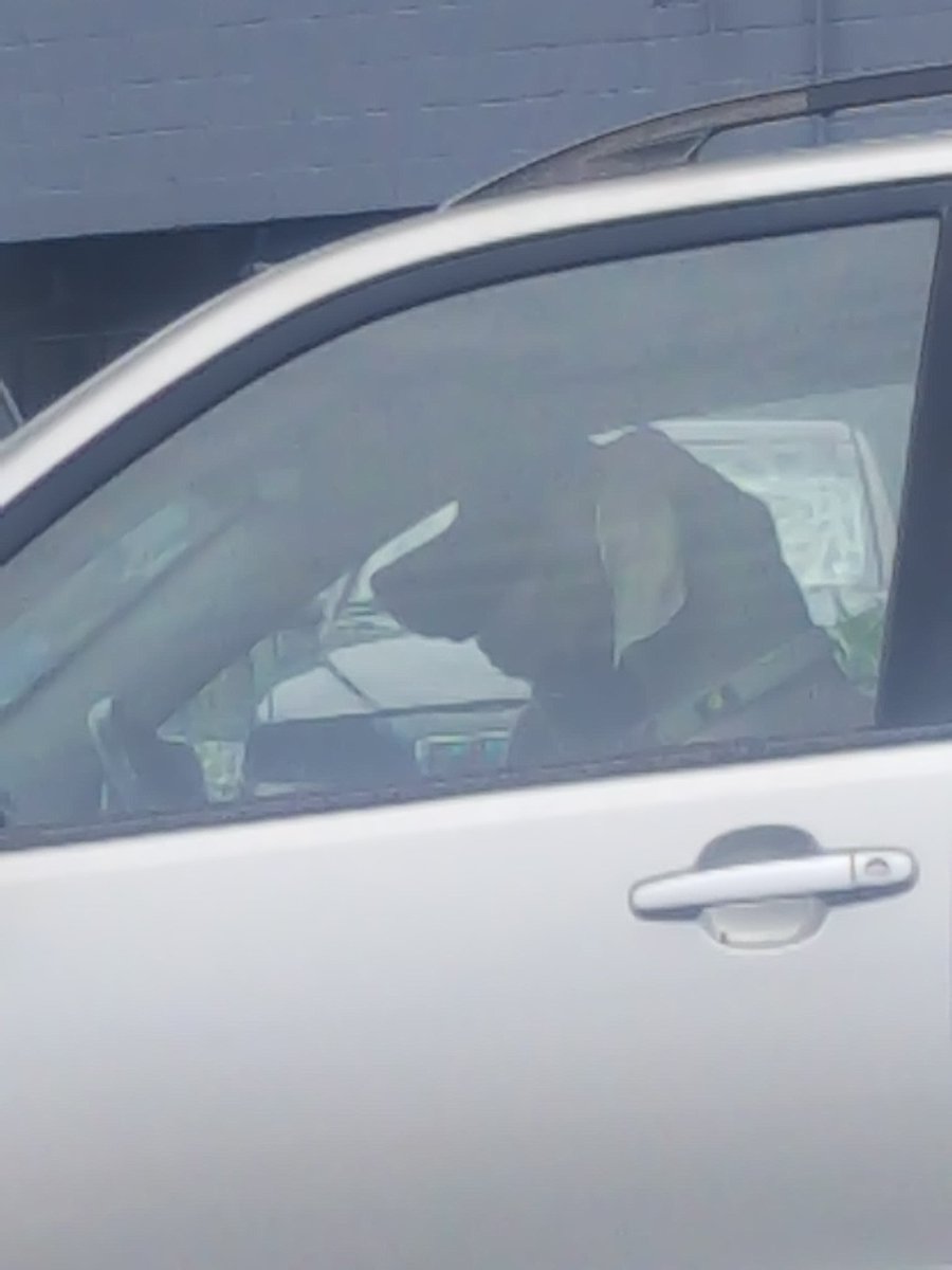 Wonder where their headed? 🤷‍♀️🤷‍♀️