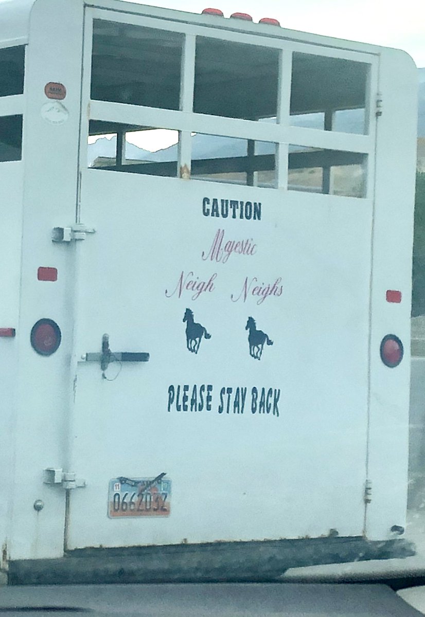 zelph's tweet photo. @BrianReganComic “caution Majestic Neigh Neighs please stay back” 
A combination of important show horses and walkie talkie level naming! https://t.co/8sg5uaIL9U