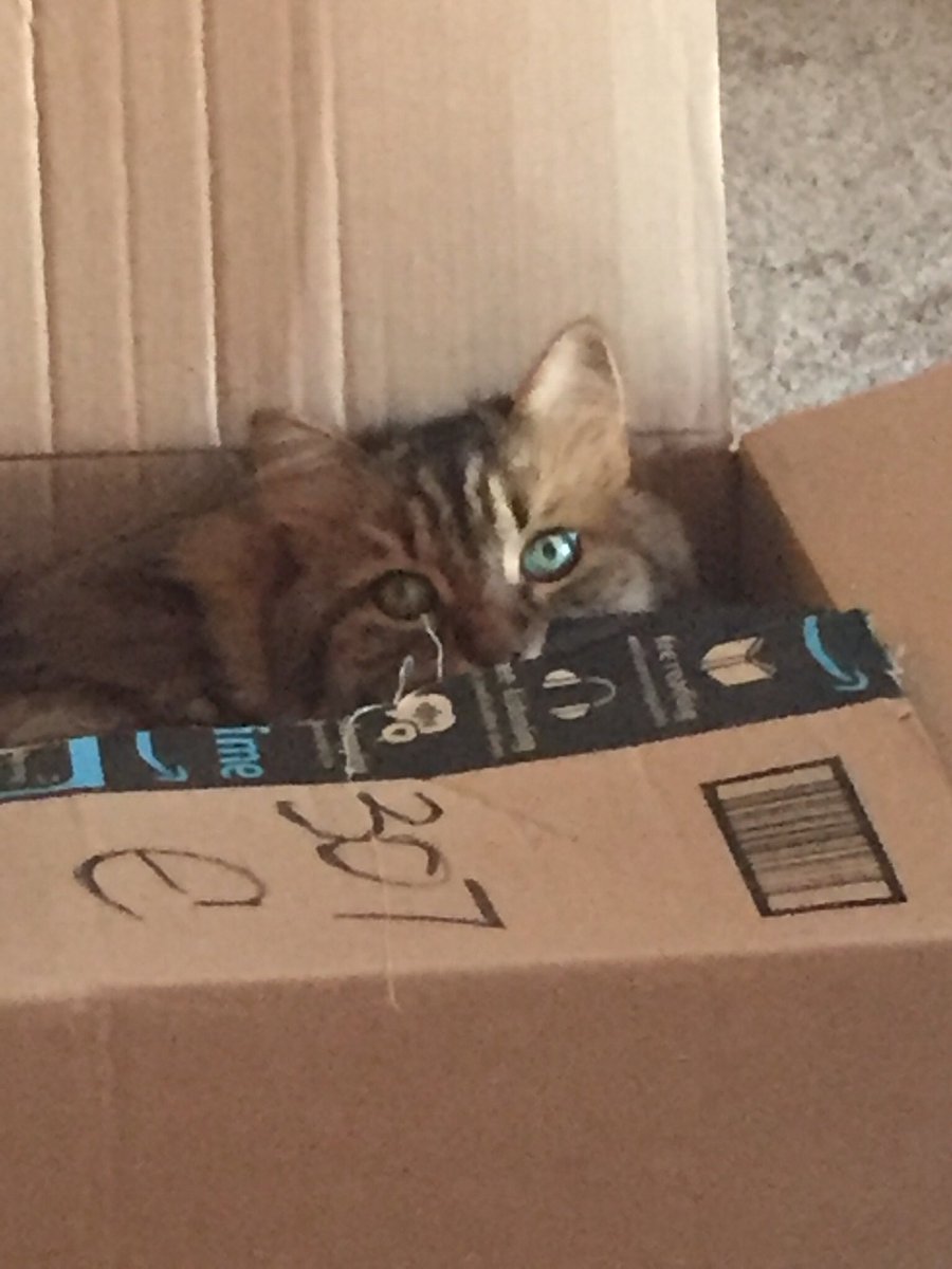 Leah McElrath tweet media