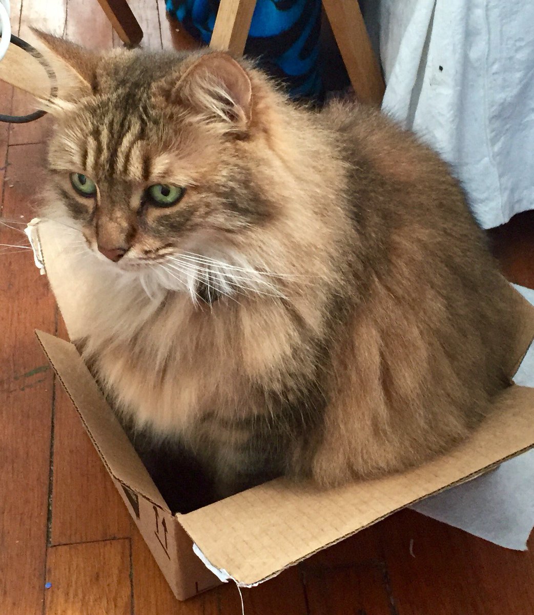 Leah McElrath tweet media