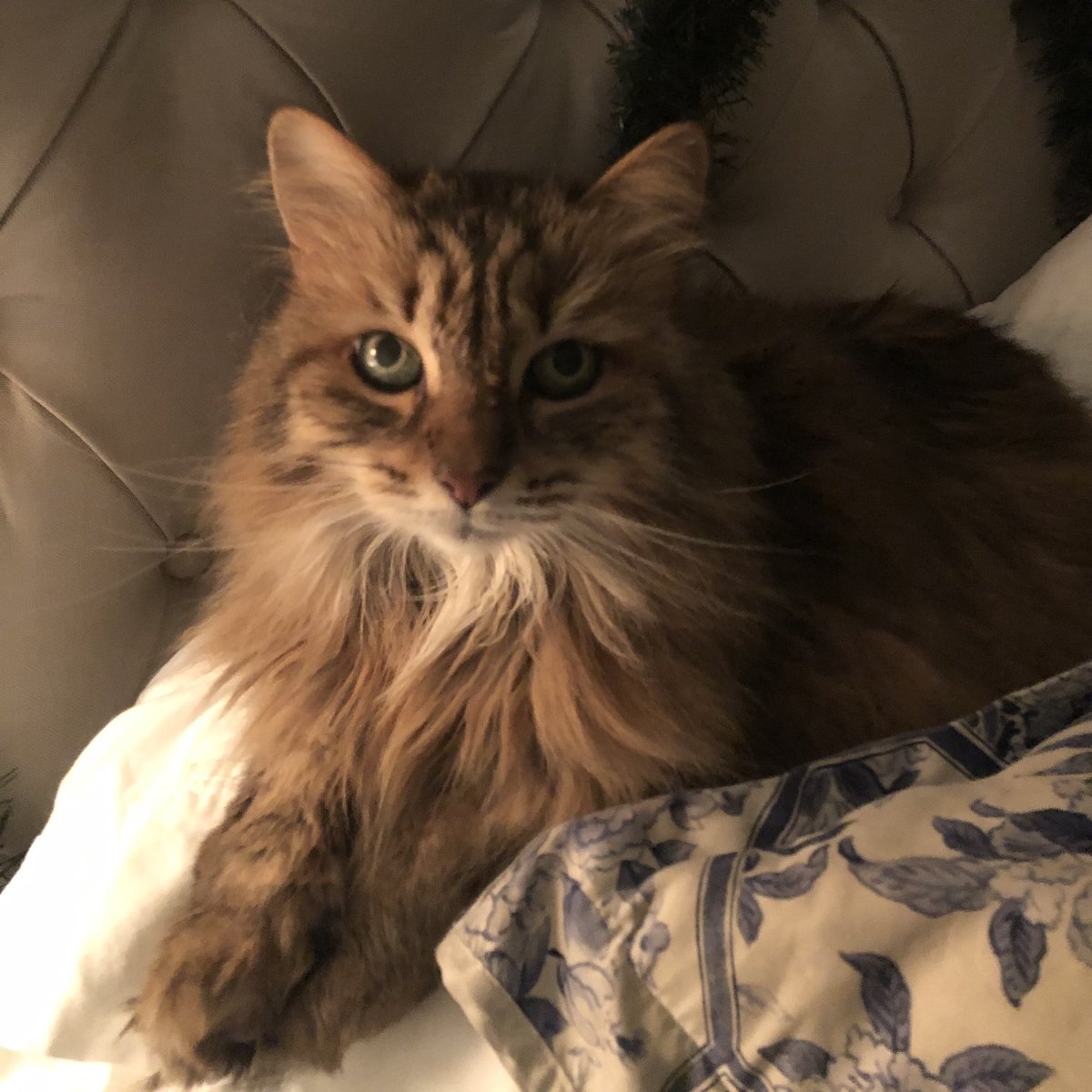 Leah McElrath tweet media