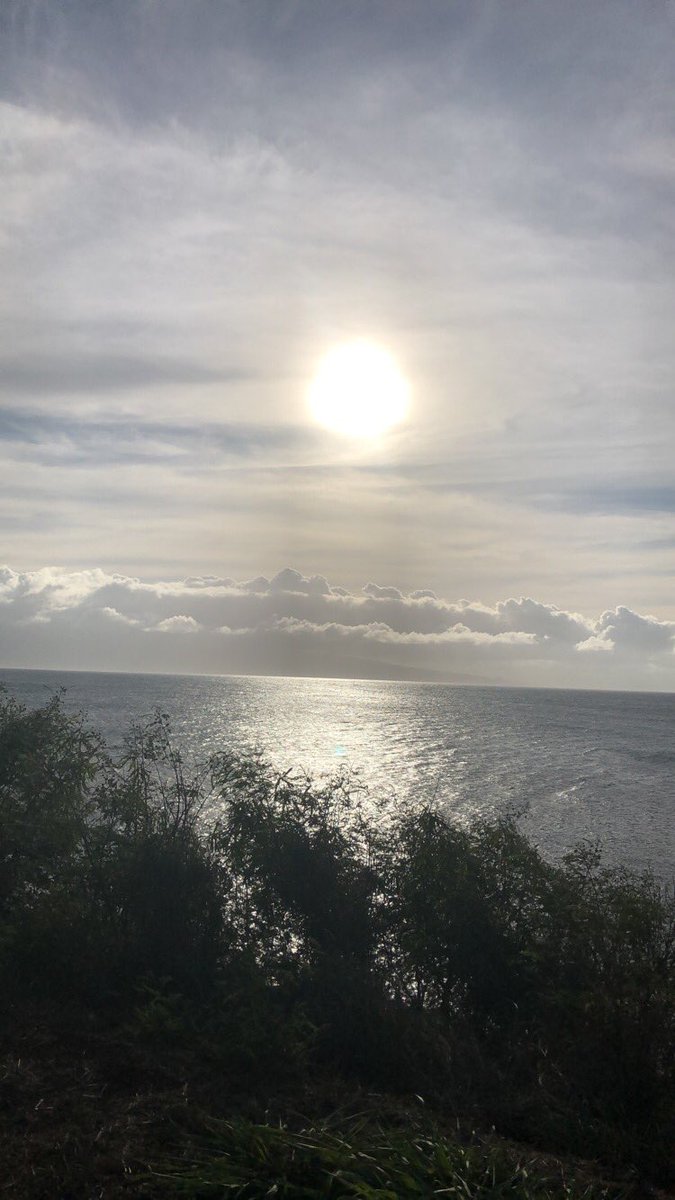 AnnaThePally's tweet photo. βοΈπ΄π’ so many turtles on the beach ! So many people I would fight for not respecting the turtle rules ! I got given a volunteer card if Iβm ever in the area ! I made it ! #TurtleHero https://t.co/bJRLV4KDNe