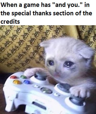 Stray Kitty tweet media