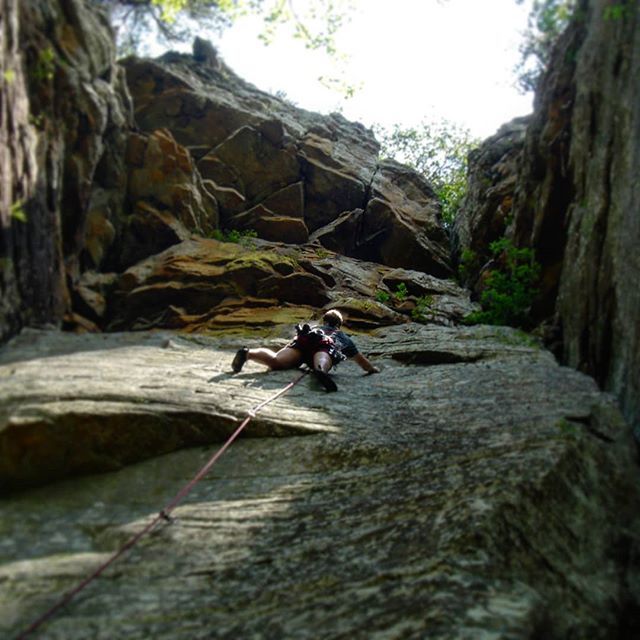 LarryLucasArch's tweet photo. Looking back to a great day climbing at Cave Creek in the late 90's. This was before @horseshoecanyon was on the map. The amazing peace we found back in that day our at #candymountain (aka. last area out) was palpable. I remember disturbing a mama and ba… https://t.co/qBnxxx5ybj https://t.co/UQCHGFtA45