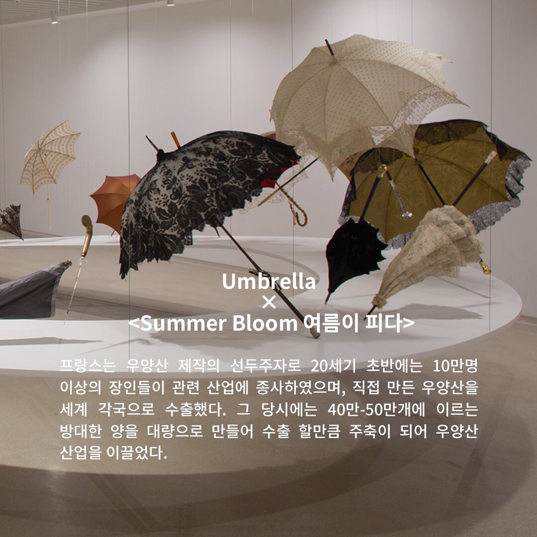 Platform_L's tweet photo. <Summer Bloom 여름이피다> 전시 기간동안 우산에 관한 다양한 이야기를 소개하는 TMI STORY!

#.4 Umbrella x <Summer Bloom 여름이 피다>

알고 보면 더 흥미로운 전시 작품 속 비하인드 이야기를 소개합니다. https://t.co/isnn0ep51R