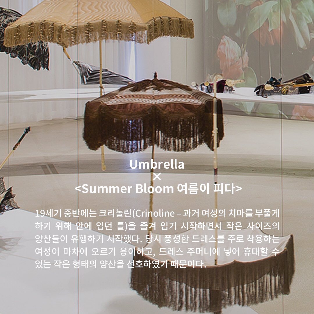 <Summer Bloom 여름이피다> 전시 기간동안 우산에 관한 다양한 이야기를 소개하는 TMI STORY!

#.4 Umbrella x <Summer Bloom 여름이 피다>

알고 보면 더 흥미로운 전시 작품 속 비하인드 이야기를 소개합니다.