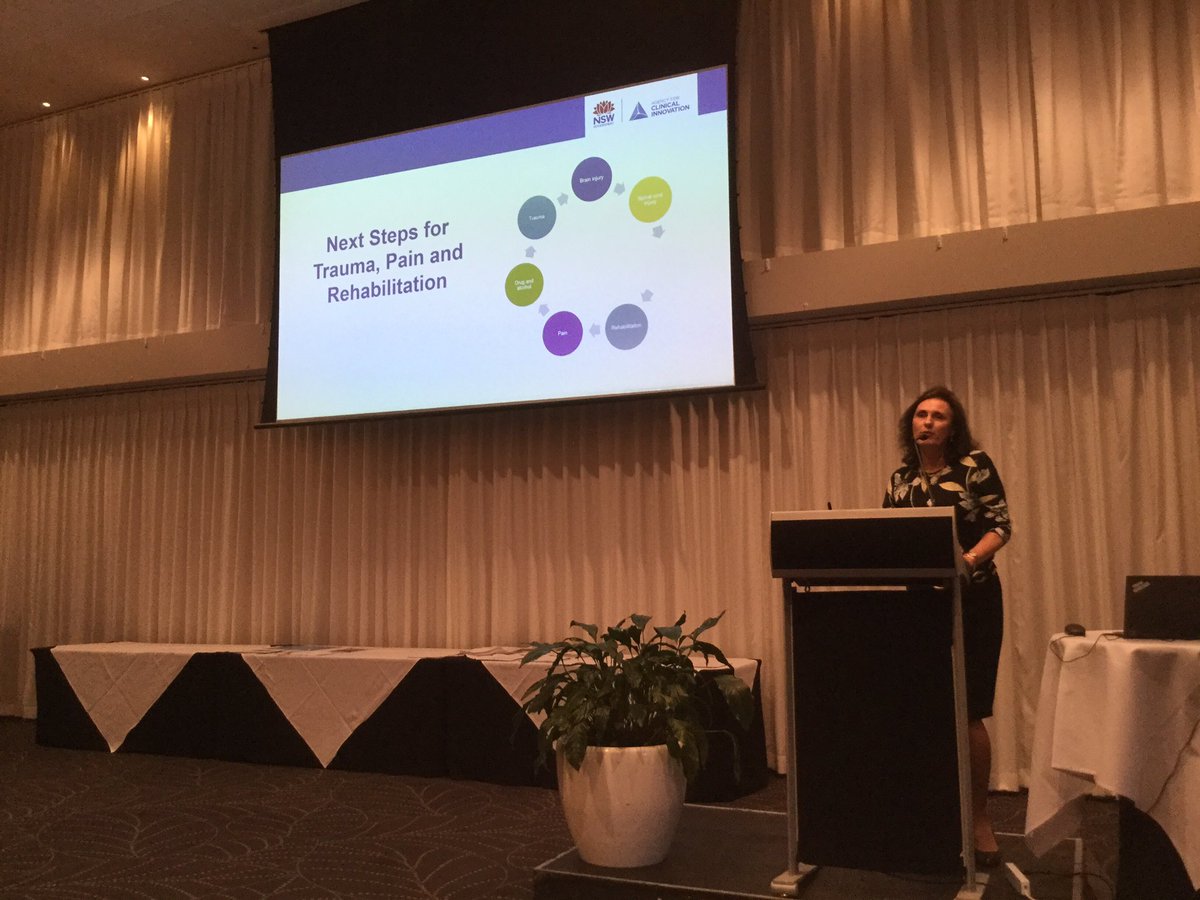 A vision for linking services in trauma, pain and rehabilition to be ‘more than the sum of our parts’ <a href="/nswaci/">NSW Agency for Clinical Innovation</a> #SSCIS19