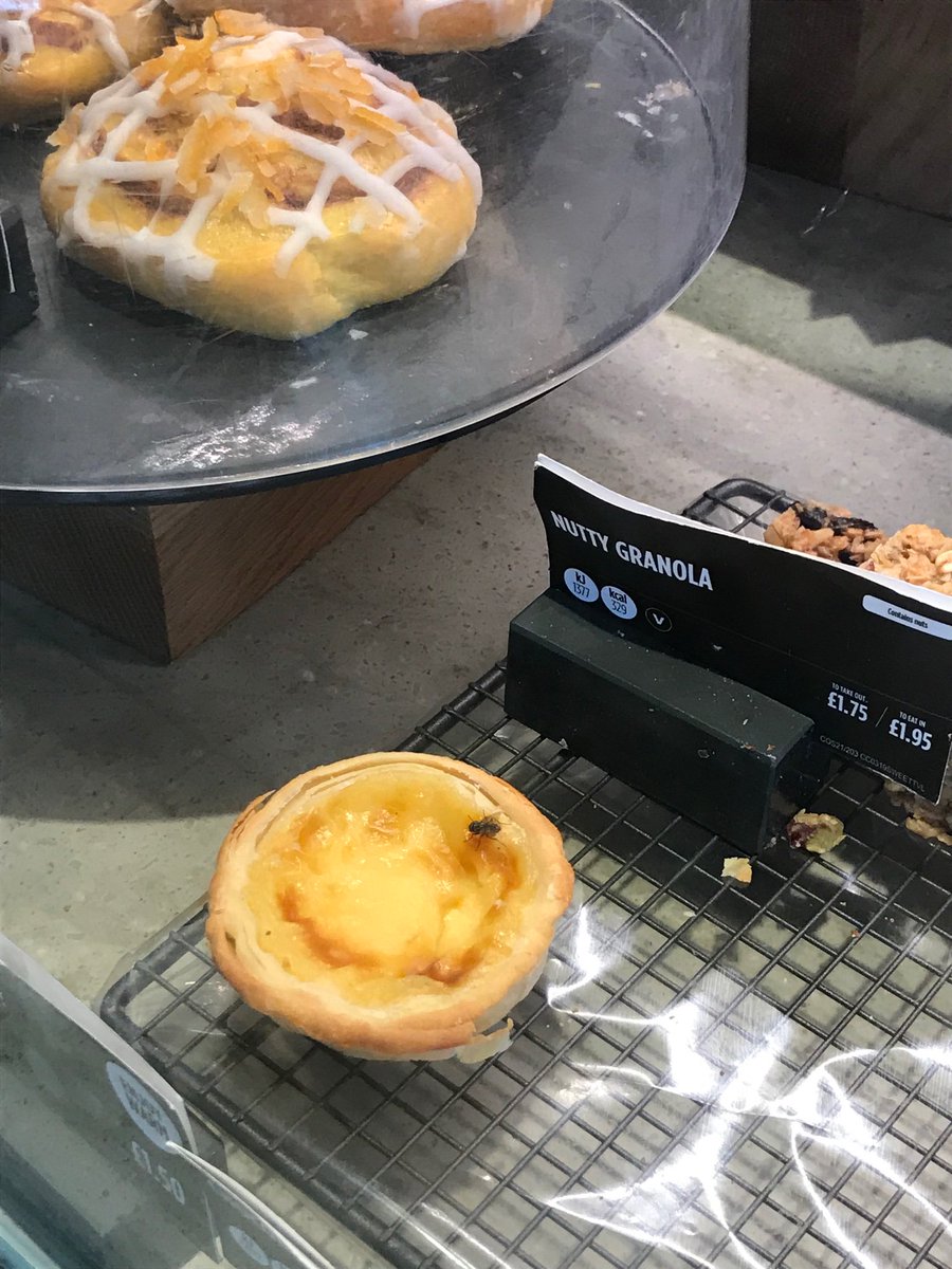 Shameeema's tweet photo. @CostaCoffee
 I didn’t know you guys served flies on the side? Should I be worried about “poop” particles on my roasted coffee beans as well? I had an iced vanilla latte just before I saw this potential invited guest😭🦟 @StarbucksUK can you believe this?! https://t.co/v28qOBUfJ4