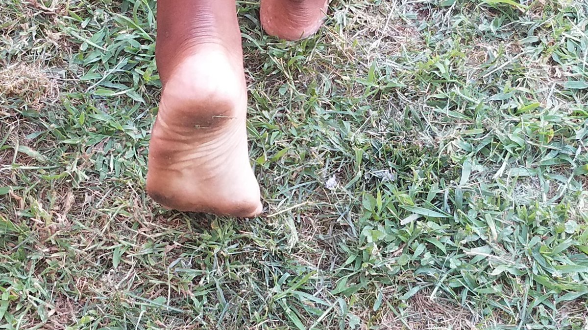 Prettyfeetpeac1's tweet photo. Outside feet pics who wants to lick my feet clean #footfetish #lickmyfeet #bigfeetgirls #footjobs #dirtyfeetgirls #dirtyfootfetish #bbwfeet #wrinklysoles #lickemclean https://t.co/LFN22VCJSi
