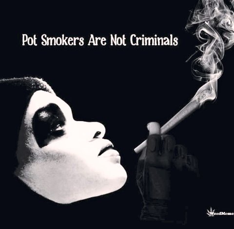 Lisa19576's tweet photo. #WeAreCannabis #StonerFam #OneLove #DoItLikeItsLegal #FuckTheGovernment #CivilDisobedience #Revolt https://t.co/denud3LwxG
