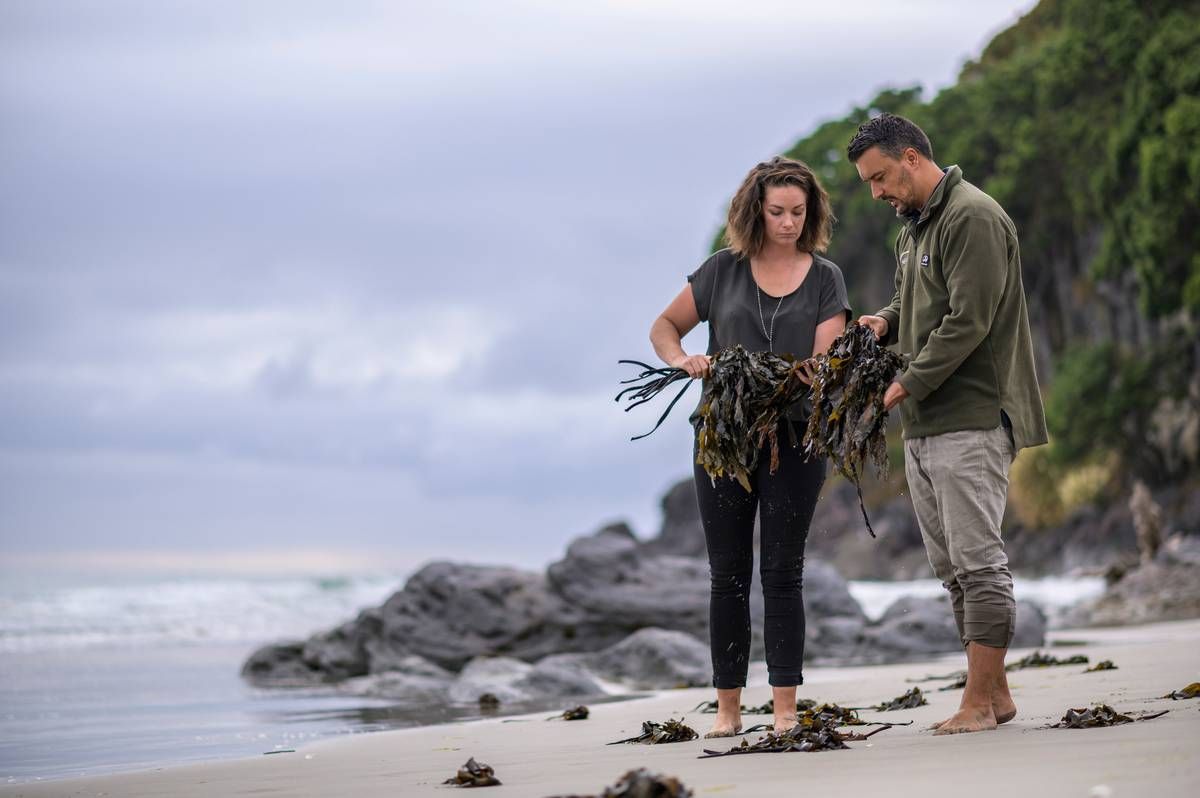 Great article on the growing business portfolio of <a href="/Agrisea/">AgriSea NZ Seaweed</a>! 
Our work with them might one day be used in your phone, batteries, computer or plane interior one day! 
buff.ly/33h1dJf
#seaweed