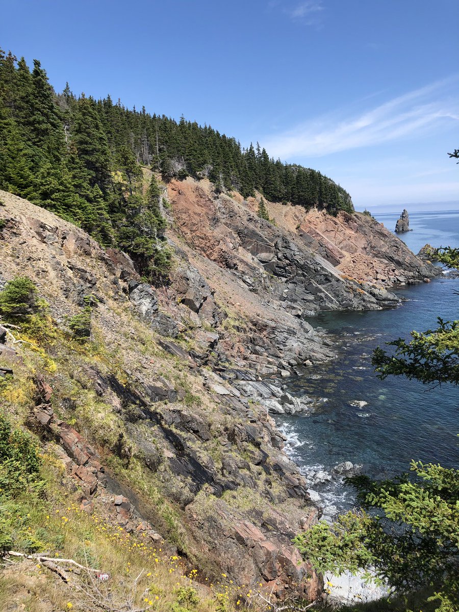 CarolynPike1's tweet photo. No matter how many times you go, you will always see something different...love you Summer, sunshine and shining sea! #PiratesPath #NL #nlwx @NLtweets @ExperienceNL @ExploreNL https://t.co/0JW8hnX9CC