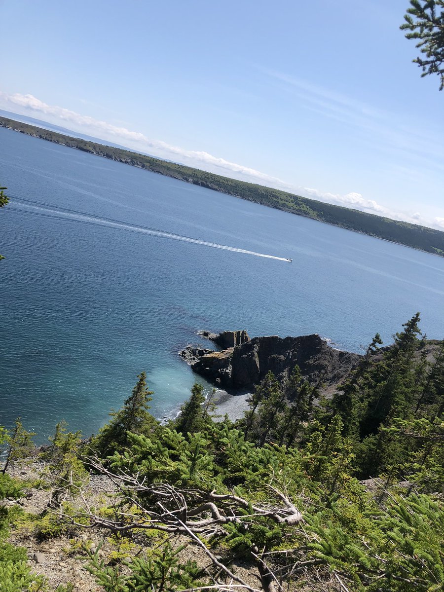 CarolynPike1's tweet photo. No matter how many times you go, you will always see something different...love you Summer, sunshine and shining sea! #PiratesPath #NL #nlwx @NLtweets @ExperienceNL @ExploreNL https://t.co/0JW8hnX9CC