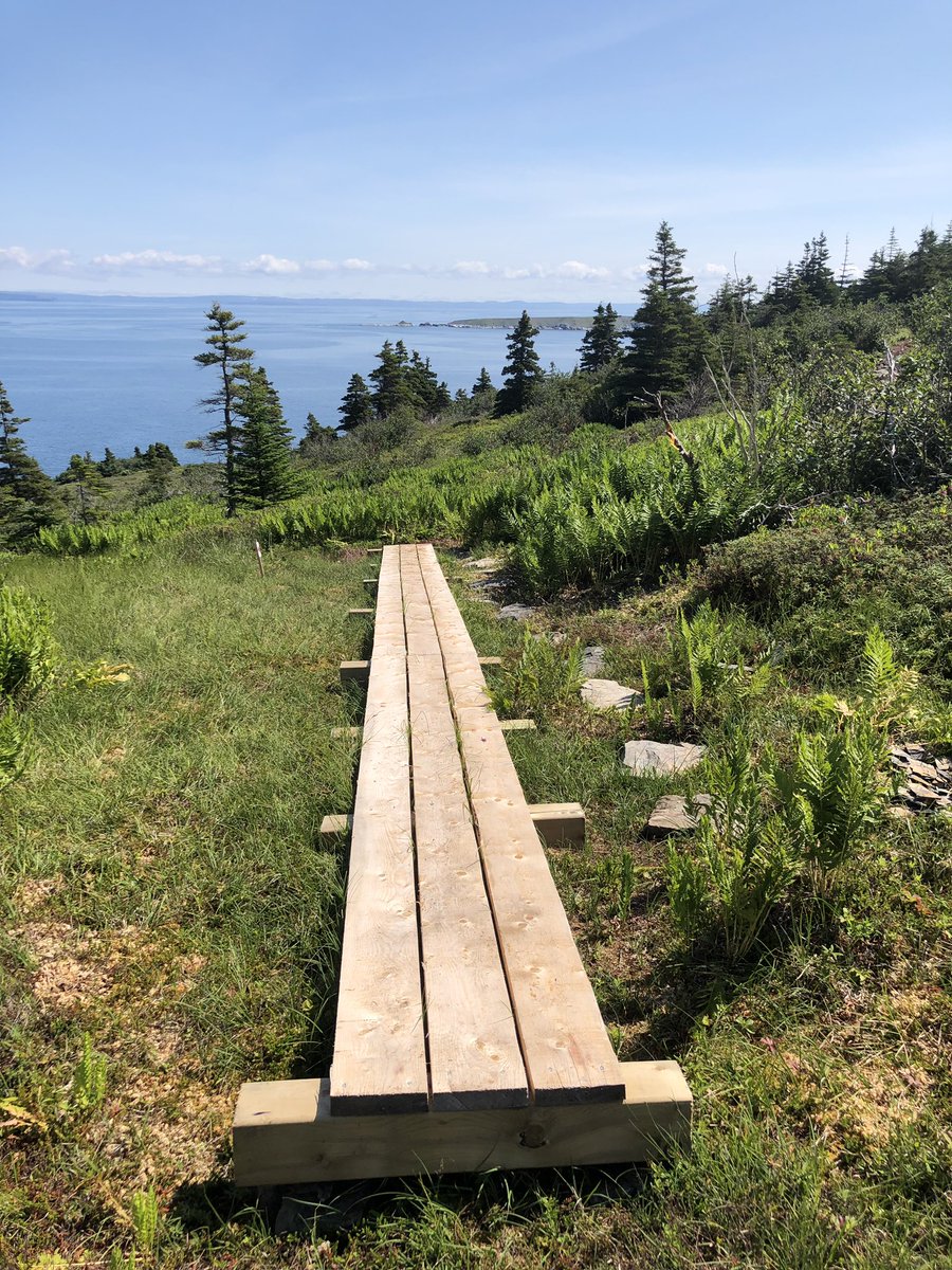 CarolynPike1's tweet photo. No matter how many times you go, you will always see something different...love you Summer, sunshine and shining sea! #PiratesPath #NL #nlwx @NLtweets @ExperienceNL @ExploreNL https://t.co/0JW8hnX9CC