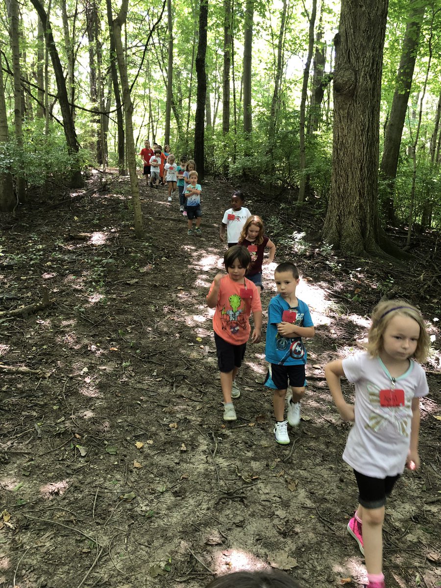 kinder_stem's tweet photo. Our first walk through the woods with new little hawks! #KinderStem https://t.co/0je5ZoLs9E