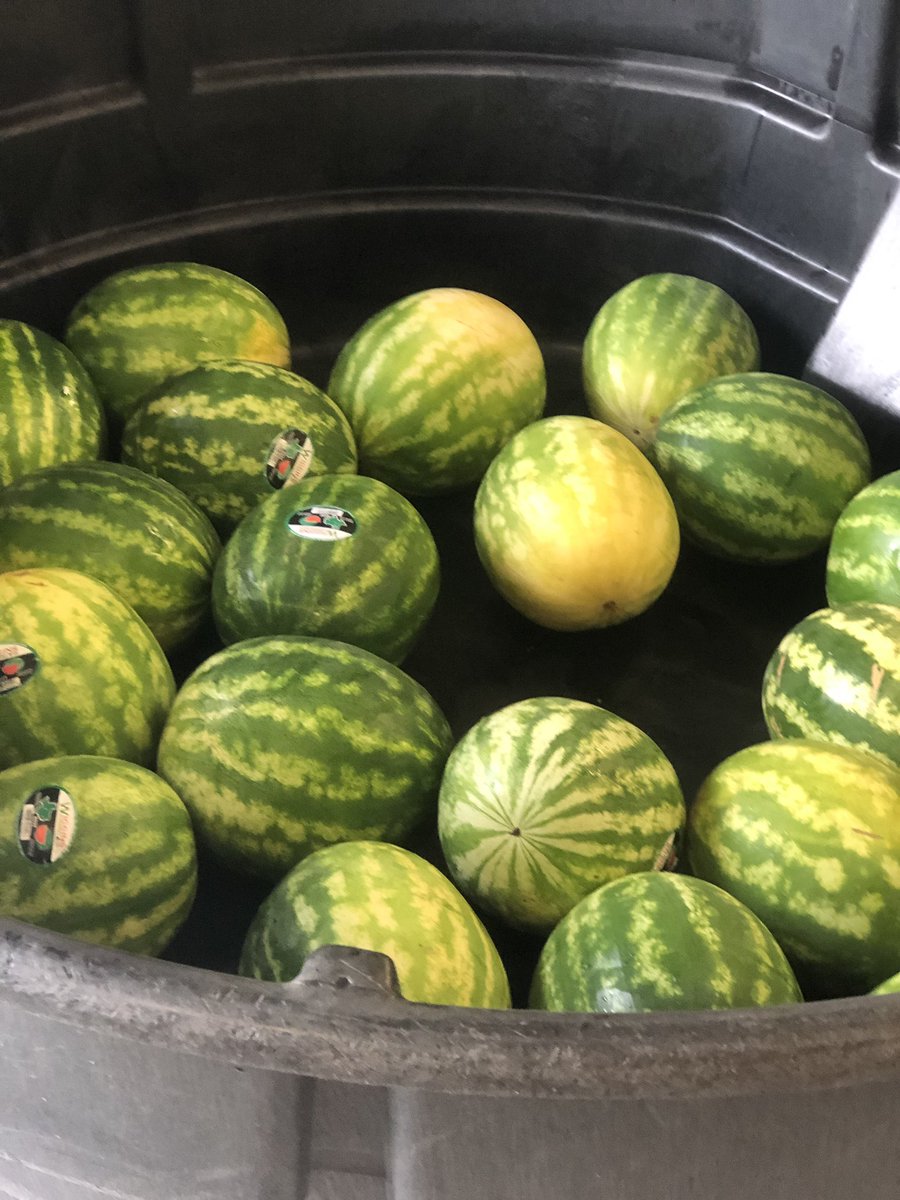 KParkGirlsXC_TF's tweet photo. Prepping for the Melon Run 5k on August 10th @ 8am! #melonrun #melonsfordays https://t.co/meb4pXUWVh