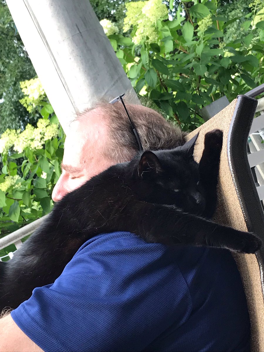 fivestardancer's tweet photo. #CatVidFest19 https://t.co/0bJ0QDdnSl