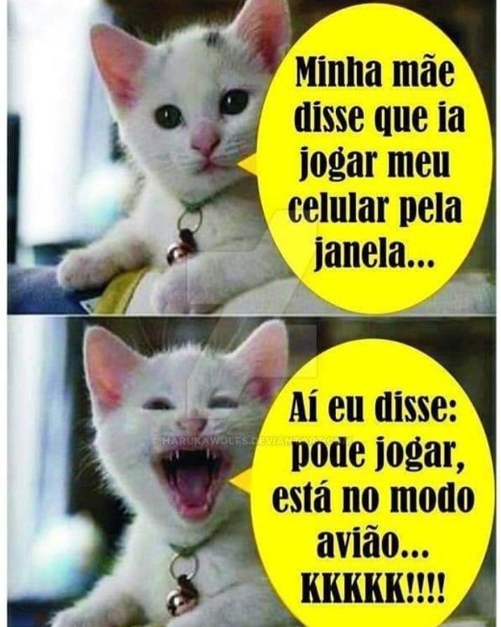 HRadioweb's tweet photo. É besta... mas eu ri!
#piada #humor #engraçado #diversao #rindo #rir #gatinho #car #bichanos https://t.co/r1qDhekJDs