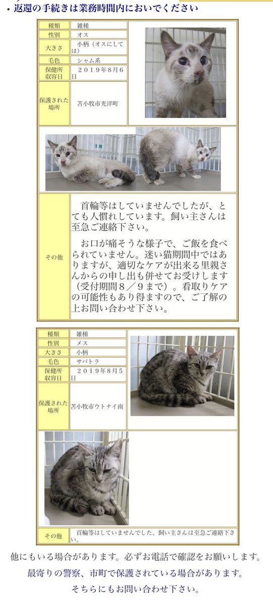 北海道 保健所 里親募集 苫小牧保健所さん シャム系猫さんの情報が更新されていました 口が痛いのかご飯を食べないそうです 看取りになる可能性があるため里親さんの希望を受け付けるとのことです 拡散希望 北海道 保健所 里親募集 犬の里親募集