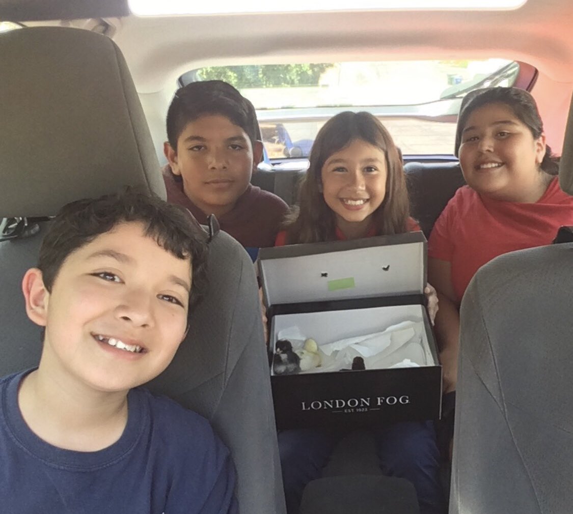 FeasterCharter's tweet photo. Just met one of our newest #feasterfarms baby chicks! Mrs Diaz and her animal care students went to pick them up earlier today!! Can't wait to see how they get along with Amelia Eggheart and Laya Egg! #FeasterLearns https://t.co/1XAIeefOP6