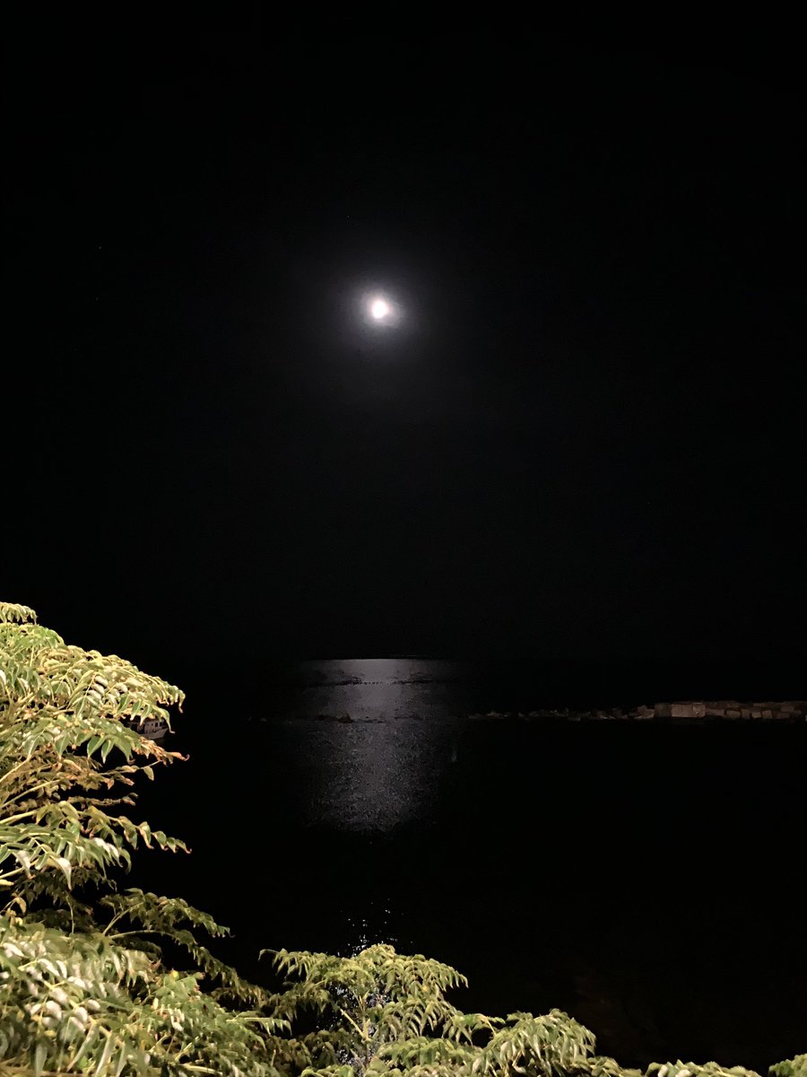 theFamilySK's tweet photo. Buonanotte from #Diamante. #reflection #moon #moonlight #sea #Italia #beautifulendtoabeautifulday https://t.co/L1S1CzkdJn