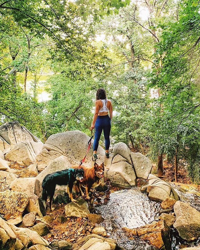 The city I live in was recognized as the fittest in America &amp; they’ve just launched a campaign to celebrate. I am here for it! 👏🏼 As much as I wish I could go out of town every weekend, I absolutely cannot. So I spend many weeknights &amp; Sunday afternoons … ift.tt/2GVrpQa