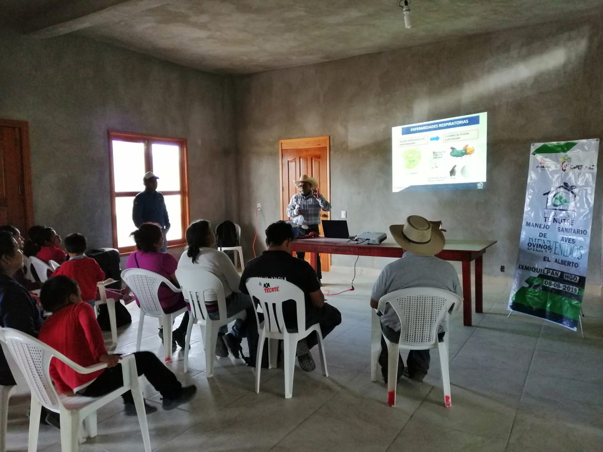 cj_juvempro's tweet photo. Dando seguimiento a los proyectos de Gallineros Microrregion fría, en esta ocasión en  capacitación en manejo sanitario y vacunación de aves.
@SEDAGRO_HIDALGO
@Car_Muniz 
@ecarizpe 
#Ixmiquilpan 
#Juvempro https://t.co/wvx3yP6vEX