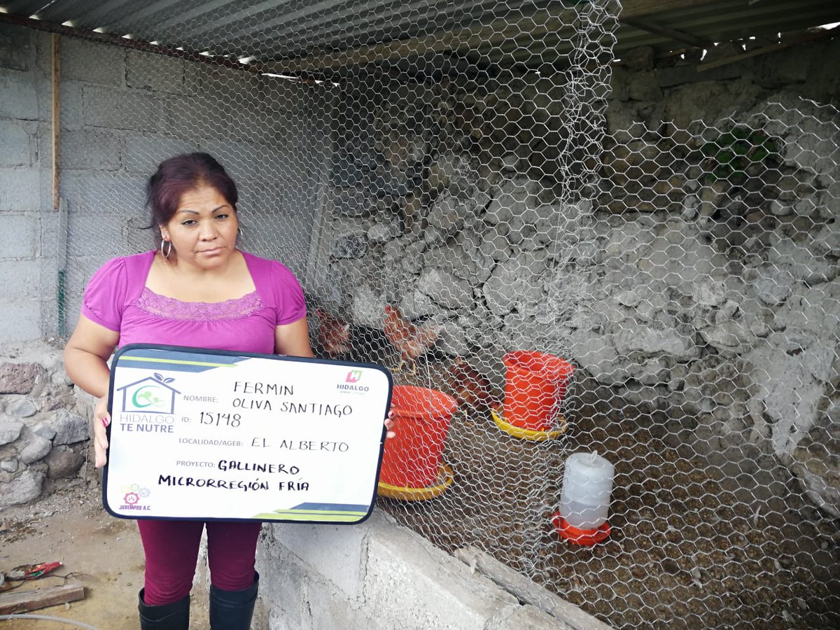 cj_juvempro's tweet photo. Dando seguimiento a los proyectos de Gallineros Microrregion fría, en esta ocasión en  capacitación en manejo sanitario y vacunación de aves.
@SEDAGRO_HIDALGO
@Car_Muniz 
@ecarizpe 
#Ixmiquilpan 
#Juvempro https://t.co/wvx3yP6vEX