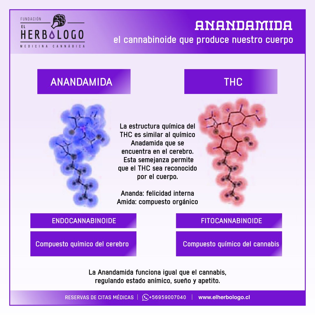 La anandamida y el CBD · WeBotanix