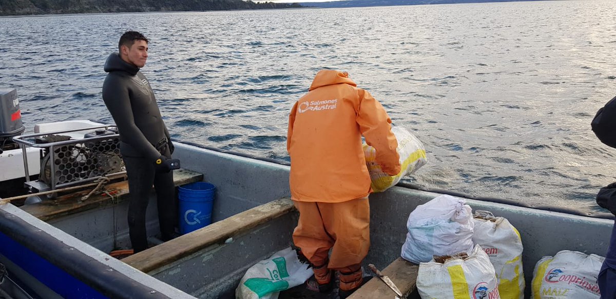 CAPUERTOQUEMCHI's tweet photo. Policía Marítima de @CAPUERTOQUEMCHI realizó incautación de 170 Kg., de recurso "Erizo" sector canal #Chauques. Infractores citados al Juzgado de Letras #Castro y total del recurso fue devuelto al mar por encontrarse con suspensión de faena extractiva.
@DGTM_Chile 
@maritgobcas https://t.co/ME7Uy9Vniv