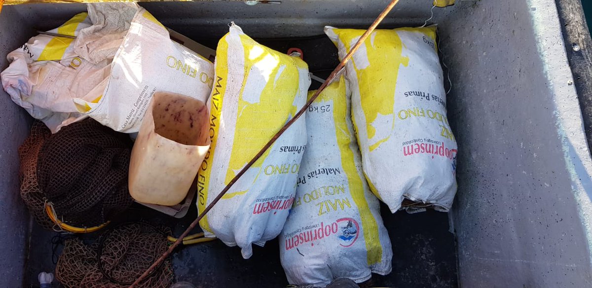 CAPUERTOQUEMCHI's tweet photo. Policía Marítima de @CAPUERTOQUEMCHI realizó incautación de 170 Kg., de recurso "Erizo" sector canal #Chauques. Infractores citados al Juzgado de Letras #Castro y total del recurso fue devuelto al mar por encontrarse con suspensión de faena extractiva.
@DGTM_Chile 
@maritgobcas https://t.co/ME7Uy9Vniv