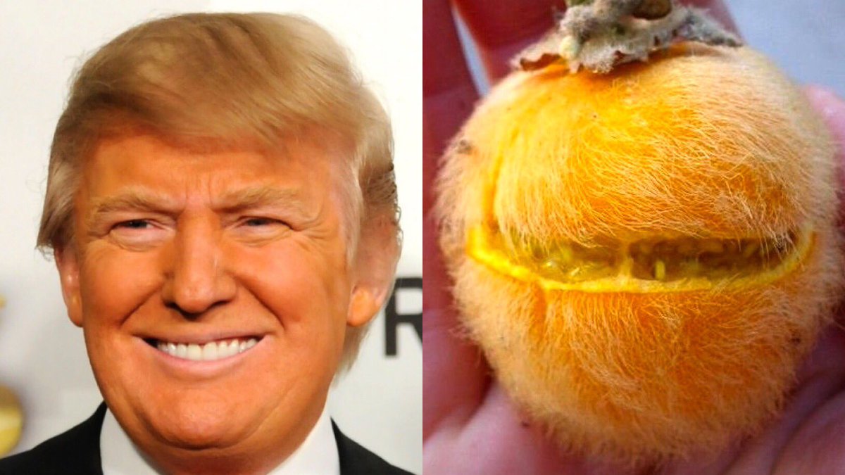 FurburgerMayor's tweet photo. @leeleeb50 https://t.co/fCdhWFkzR0