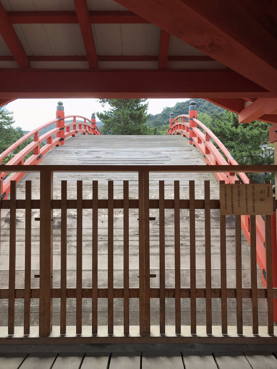 HNeko19's tweet photo. 厳島神社に行ってきたよー。今回は干潮だったけどどこからか水が湧き出てきていてとめもキレイだったよ。おみくじひいたら凶がでたよ.....もう一回ひいても凶がでて萎えた https://t.co/3Zy8qpNL3p