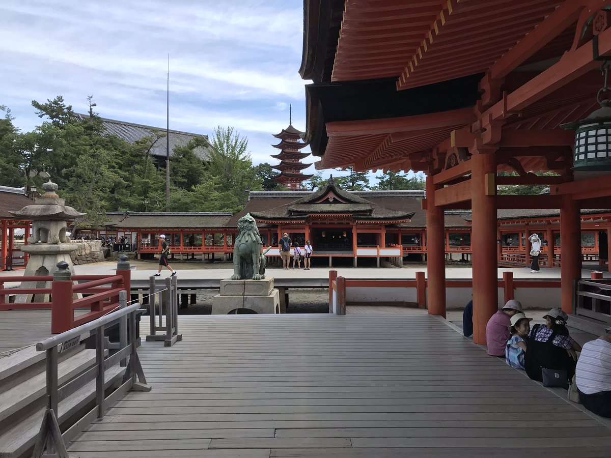 HNeko19's tweet photo. 厳島神社に行ってきたよー。今回は干潮だったけどどこからか水が湧き出てきていてとめもキレイだったよ。おみくじひいたら凶がでたよ.....もう一回ひいても凶がでて萎えた https://t.co/3Zy8qpNL3p