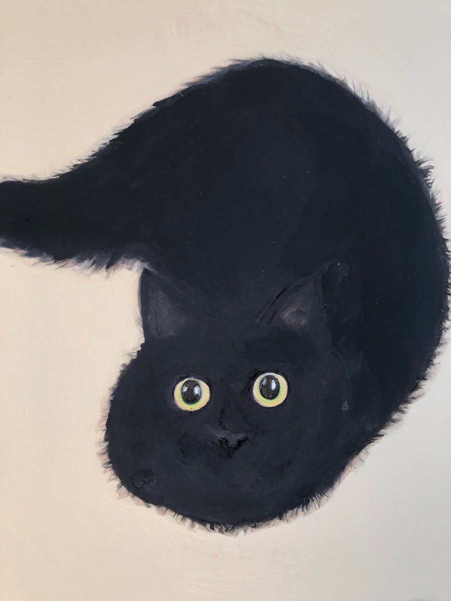森の絵 黒猫ニンニン 友人の飼ってる黒猫ニンニン 雌 クリクリお目目で可愛い インスタでその姿拝見してて ついつい描いてしまった 1回会えました 絵 森宏 Illustration 竹富島 Summe Cat Cute Pet 夏 Summer 黒猫 真っ黒
