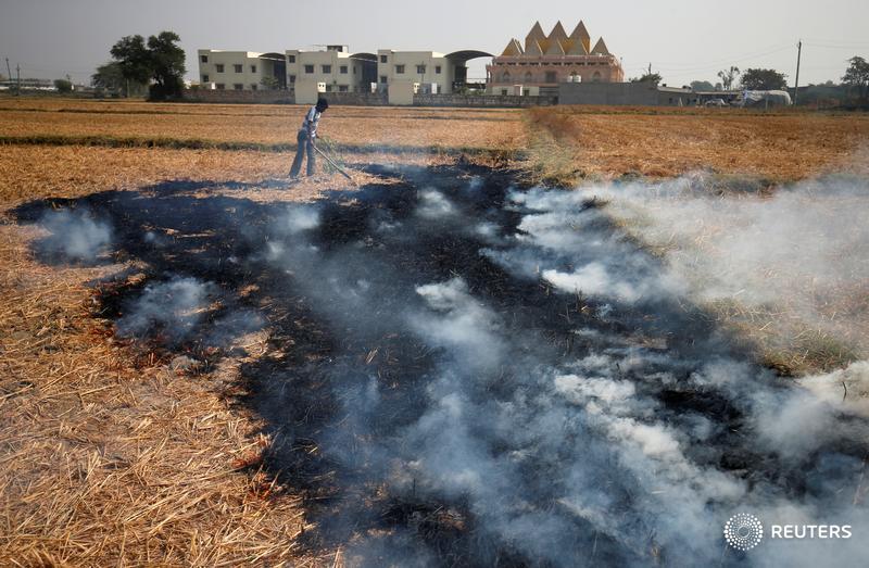 Stop burning fields to cut smog and boost profits, scientists tell Indian farmers news.trust.org/item/201908081… #India #farming <a href="/CIMMYT/">CIMMYT</a>