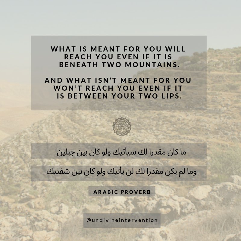 Jennine Savesheikhjarrah I Love This Arabic Proverb What Is Meant For You Will Reach You Even If It Is Beneath Two Mountains And What Isn T Meant For You Won T Reach
