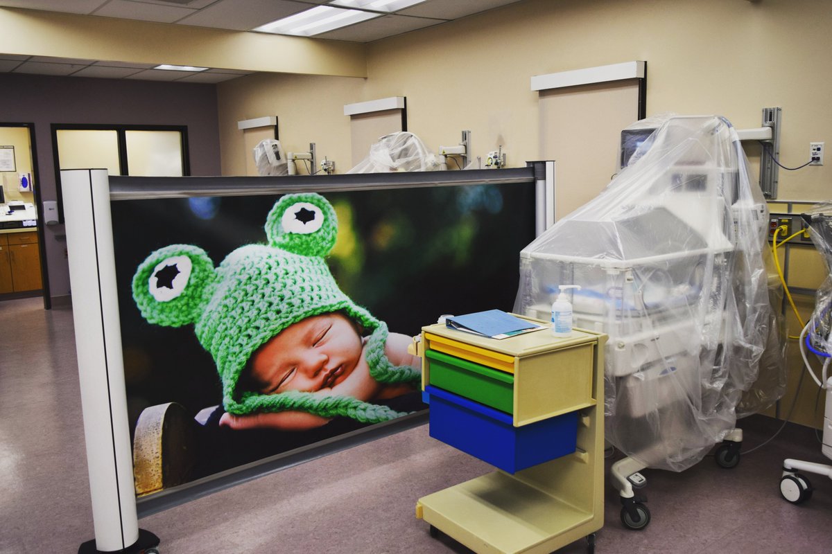 Rolascreen tweet media