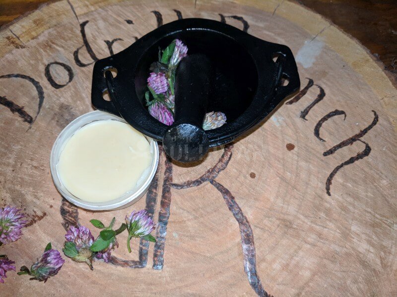 How To Make Red Clover Salve

Red clover salve is said to have several health benefits. We tell you how to make it, give you the full recipe, and almost 30 minutes of video footage. survivalsullivan.com/red-clover-sal…