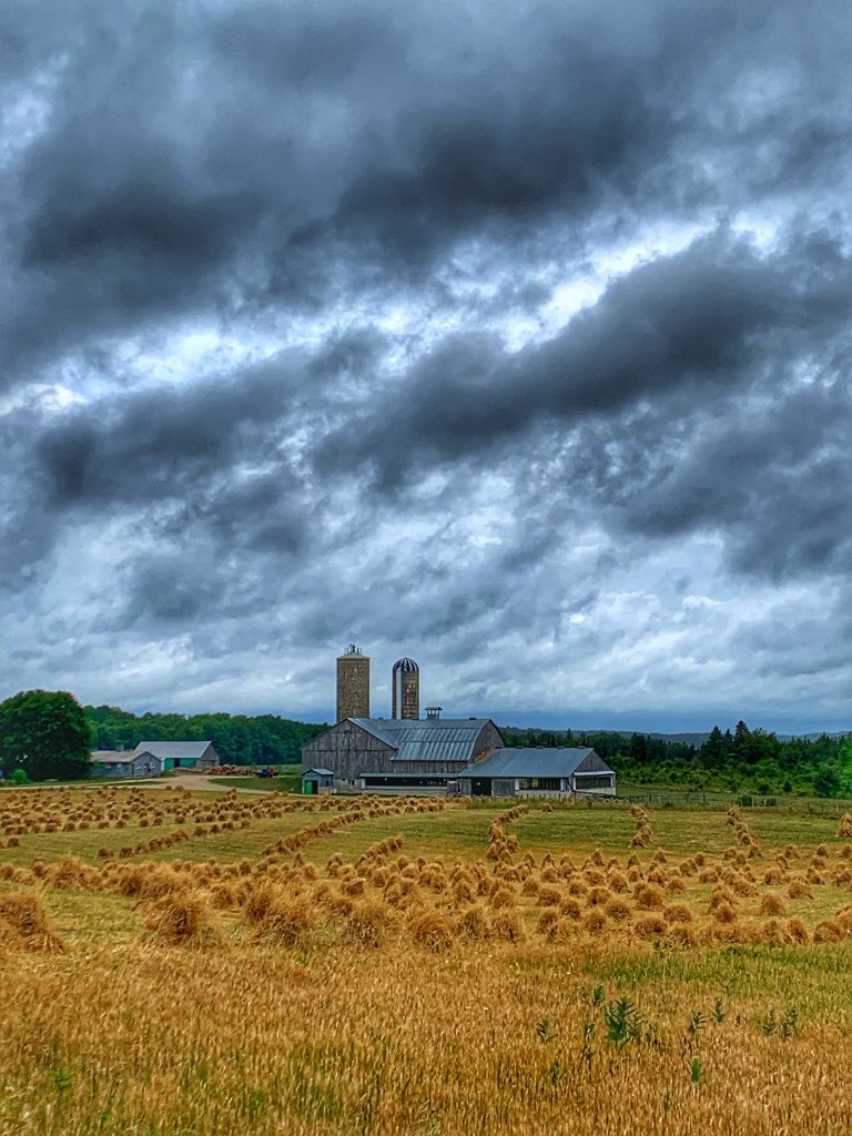 OspreyBeekeeper's tweet photo. just when you're feeling overworked .. #stooks #ag #ontag #cdnAg https://t.co/bGt4JTgI48