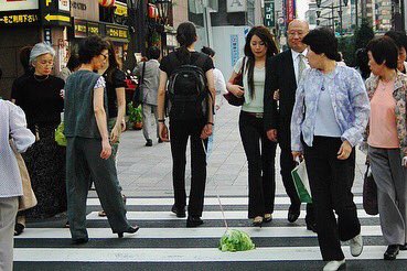 MoW_US's tweet photo. Han Bing, Walking the Cabbage, “The Chinese performance artist Han Bing drags a cabbage through city centers as a social commentary on people’s relationships with objects in their lives” #HanBing #WalkingArtist #WalkingArt #walkingthecabbage https://t.co/i8BMKQJv3m