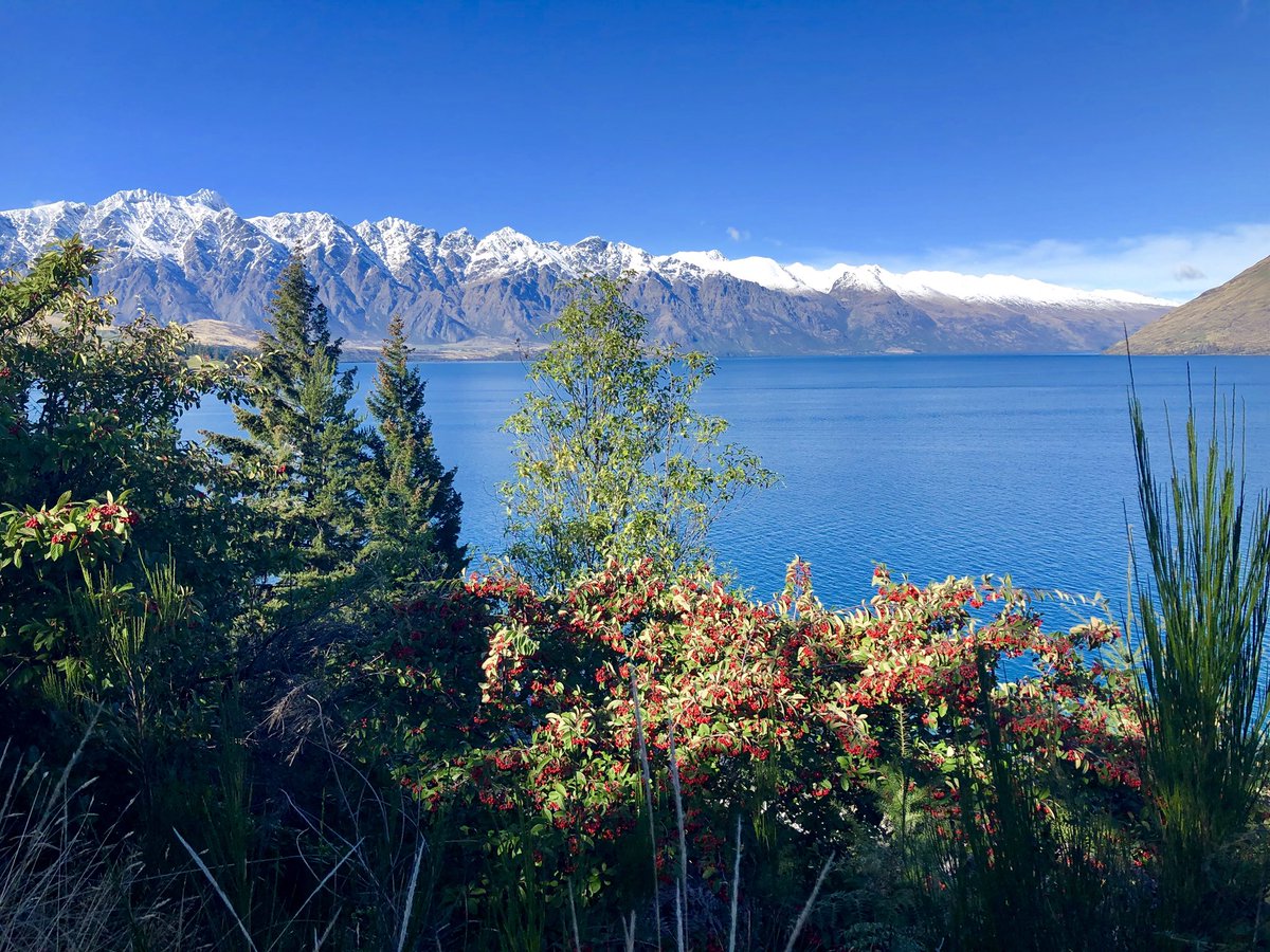 ABradleyBSc's tweet photo. @PureQueenstown the postcard looks even better in colour https://t.co/twhgBVnV3M