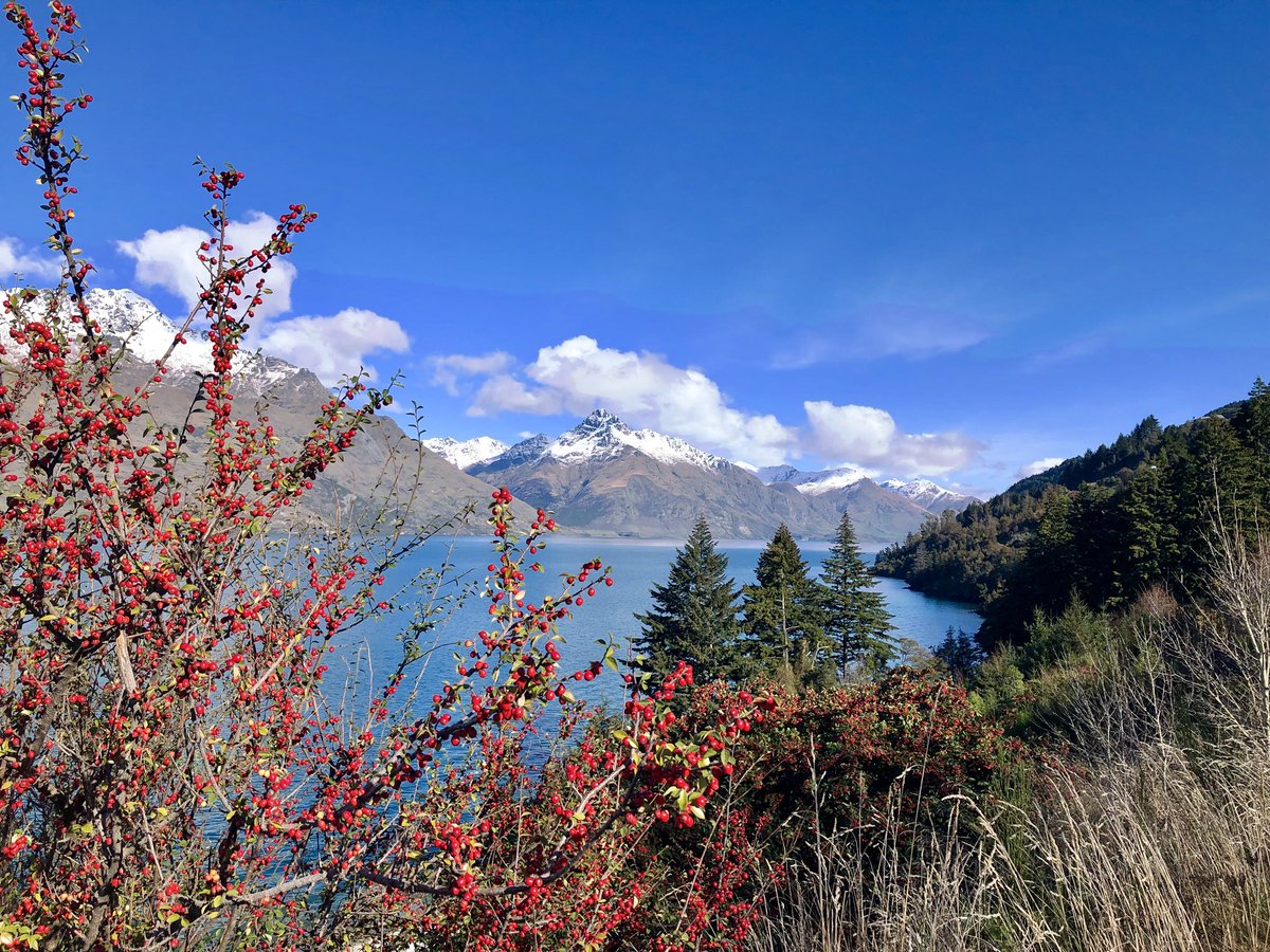 ABradleyBSc's tweet photo. @PureQueenstown the postcard looks even better in colour https://t.co/twhgBVnV3M