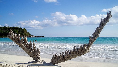 GratitudeDNA's tweet photo. ฟูลกูไรท์(Fulgurite)หรือผลึกสายฟ้า ใช้เวลา1วินาทีในการเกิดเมื่อฟ้าผ่าทราย โดยความร้อนจากสายฟ้าราว1,800องศาเซลเซียสแล่นเป็นสายลงไปหลอมละลายทรายที่อยู่ด้านล่างทำให้ทรายกลายเป็นผลึกรูปทรงเดียวกับสายฟ้าที่เห็นเวลาฟ้าผ่า ภายในผลึกสายฟ้าจะกลวงเหมือนท่อเลยเรียกกันอีกชื่อว่าท่อธรรมชาติ🌩 https://t.co/OMPN3SwcEy