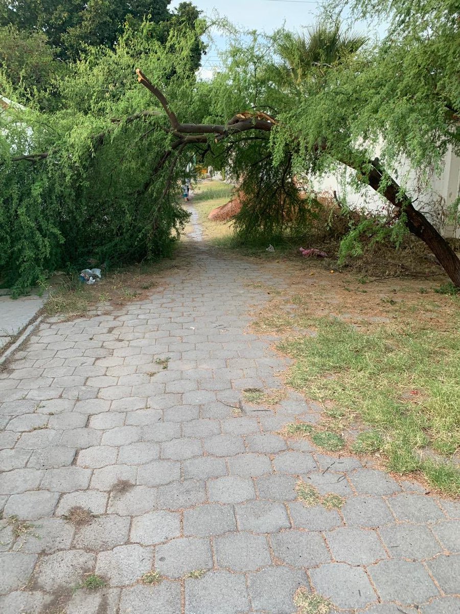Hacemos un 📢 a las autoridades, Es el andador ubicado en Colonia La Fuente, entre calles del Arcángel y Profeta. Son los pocos espacios públicos de la colonia, pues no hay áreas verdes o parques como tal.  <a href="/DGMATRC/">Medio Ambiente Torreón</a> <a href="/JZERMENOI/">Jorge Zermeño Infante</a> <a href="/MunicipioTRC/">Municipio de Torreón</a>