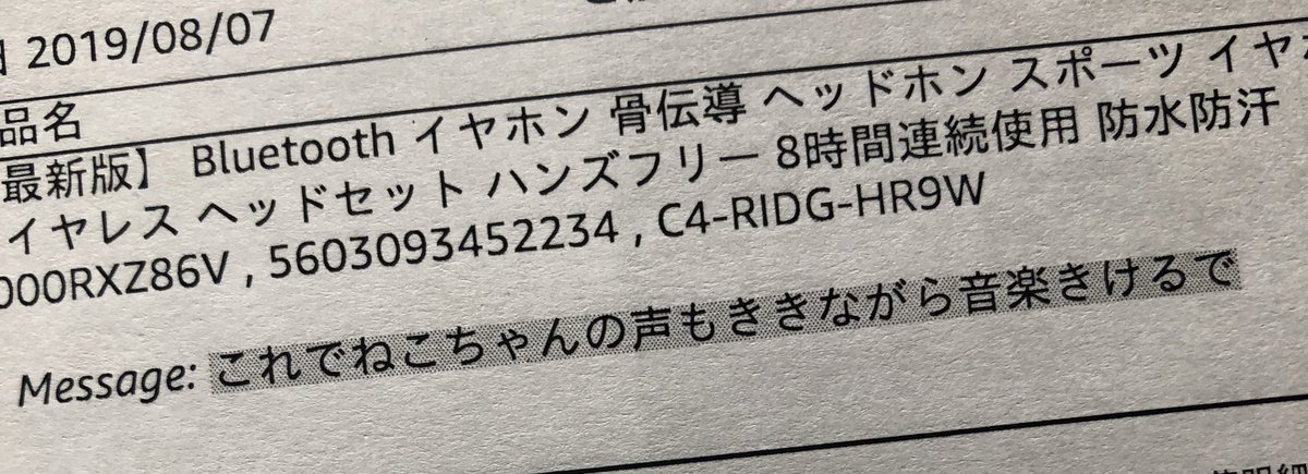 優しい…骨伝導耳塞がないからにゃーんって言っても音楽も聞こえるやつ… 