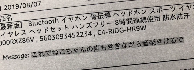 優しい…骨伝導耳塞がないからにゃーんって言っても音楽も聞こえるやつ… 